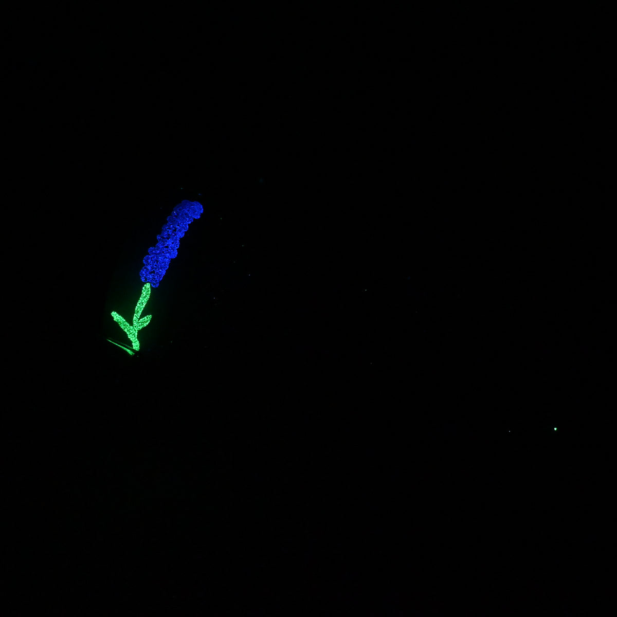 M2MKB75 Ferrus Small 0050 UV GITD