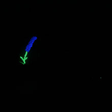 Load image into Gallery viewer, M2MKB75 Ferrus Small 0050 UV GITD
