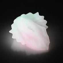 Load image into Gallery viewer, C2XEW59 Calypso Small 0020 UV GITD
