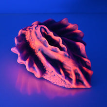 Load image into Gallery viewer, C4SEW62 Calypso Large 0030 UV GITD
