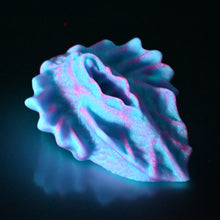 Load image into Gallery viewer, C4SEW62 Calypso Large 0030 UV GITD
