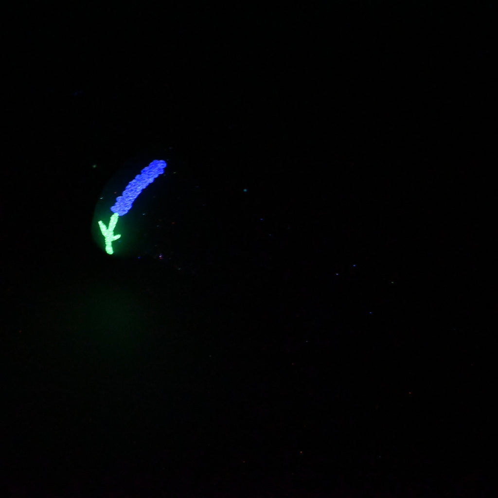 T2MKC07 Titan Small 0050 UV GITD