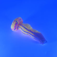 Load image into Gallery viewer, H1MHY65 Hellion XS 0050 UV
