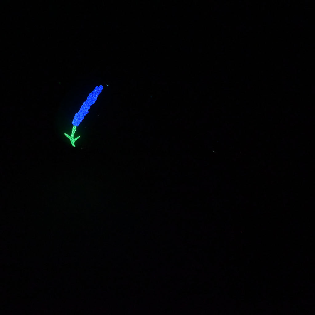 T3MKC11 Titan Medium 0050 UV GITD GOBLIN HOLE