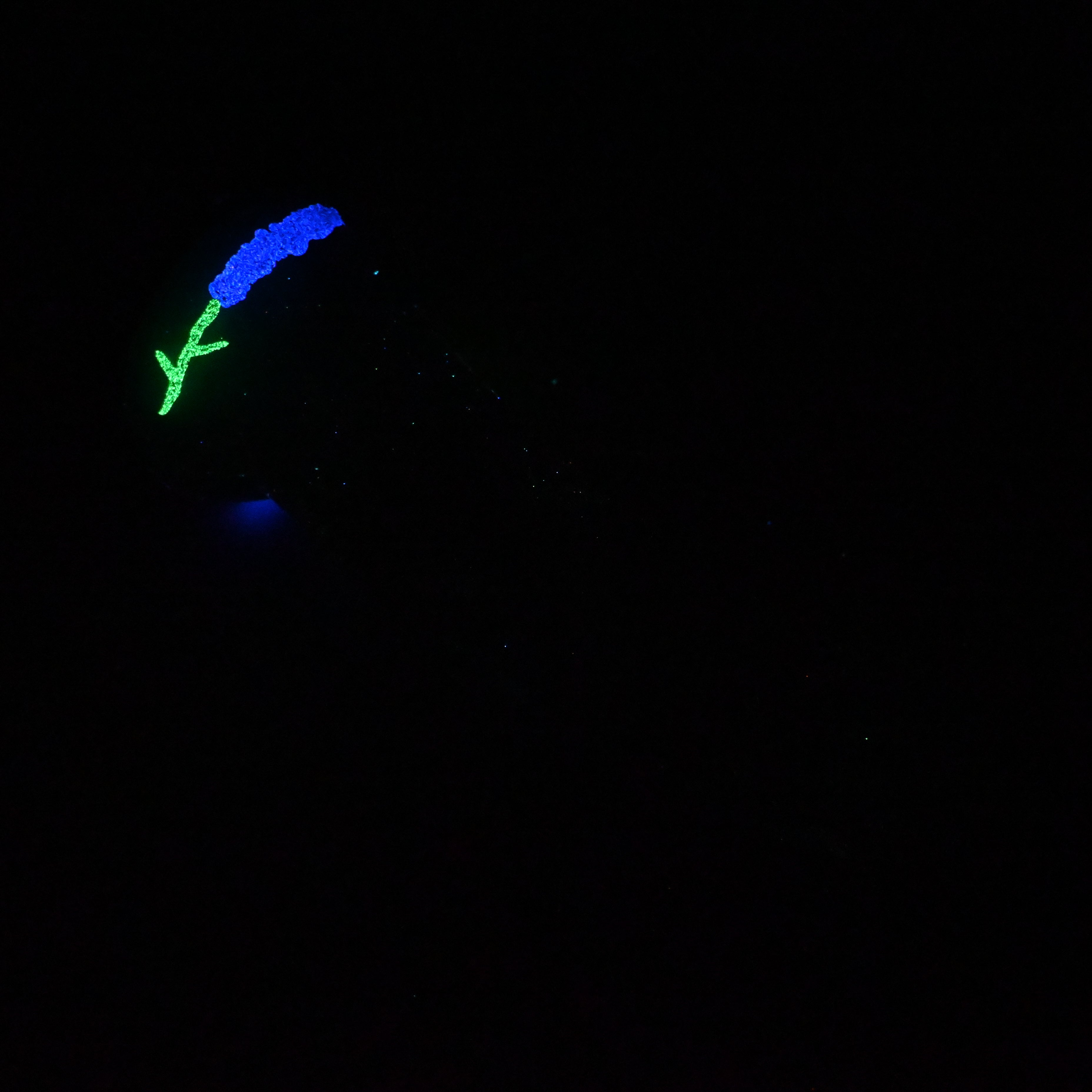 T4MKC12 Titan Large 0050 UV GITD GOBLIN HOLE