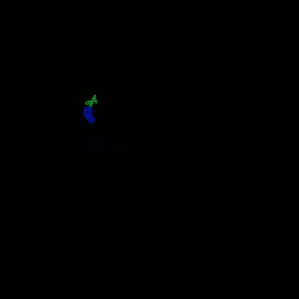 R2MKB99 Orion Small 0050 UV GITD