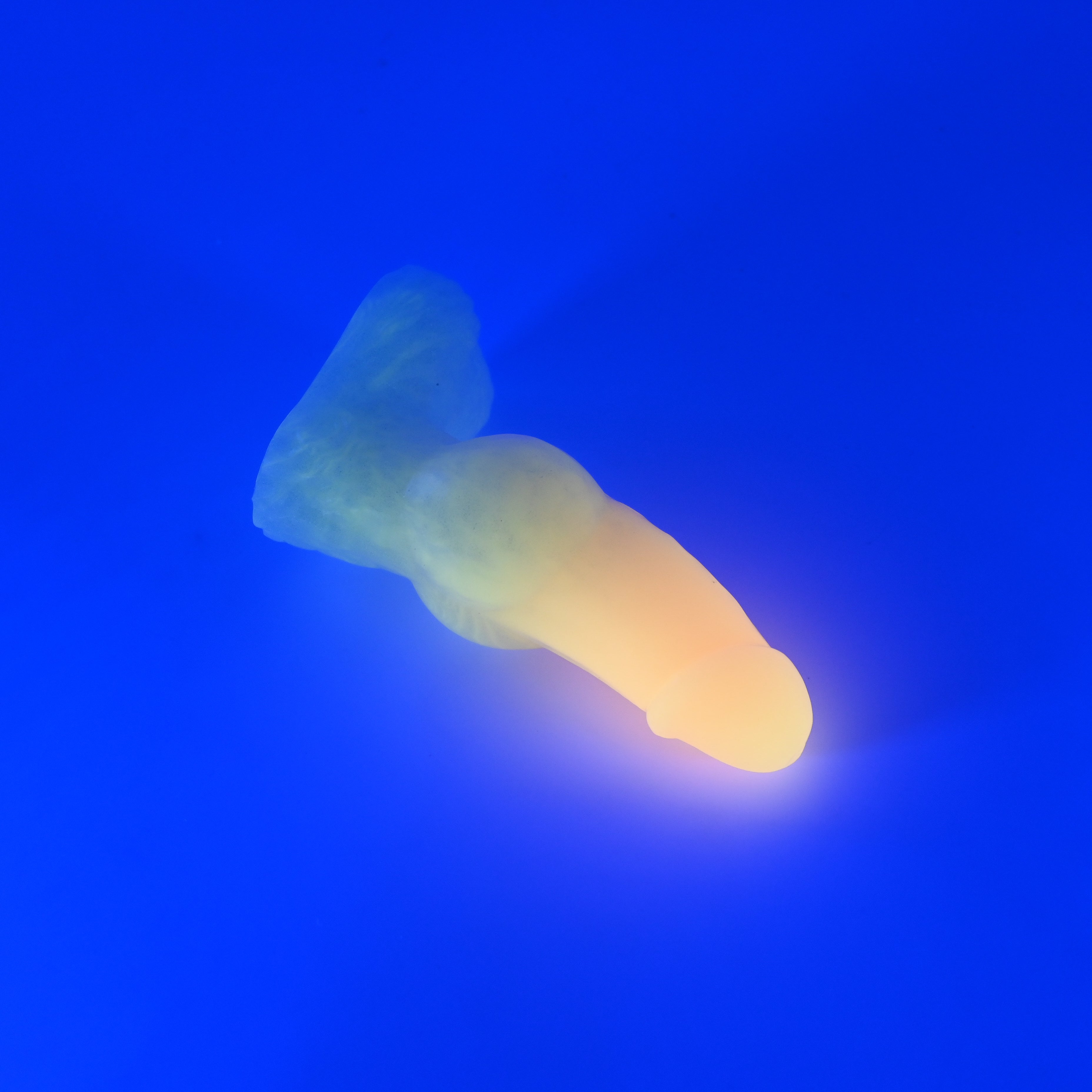 51XKA71 Jacob Mini 0020 UV GITD