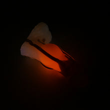 Load image into Gallery viewer, 52XKA76 Jacob Small 0020 UV GITD
