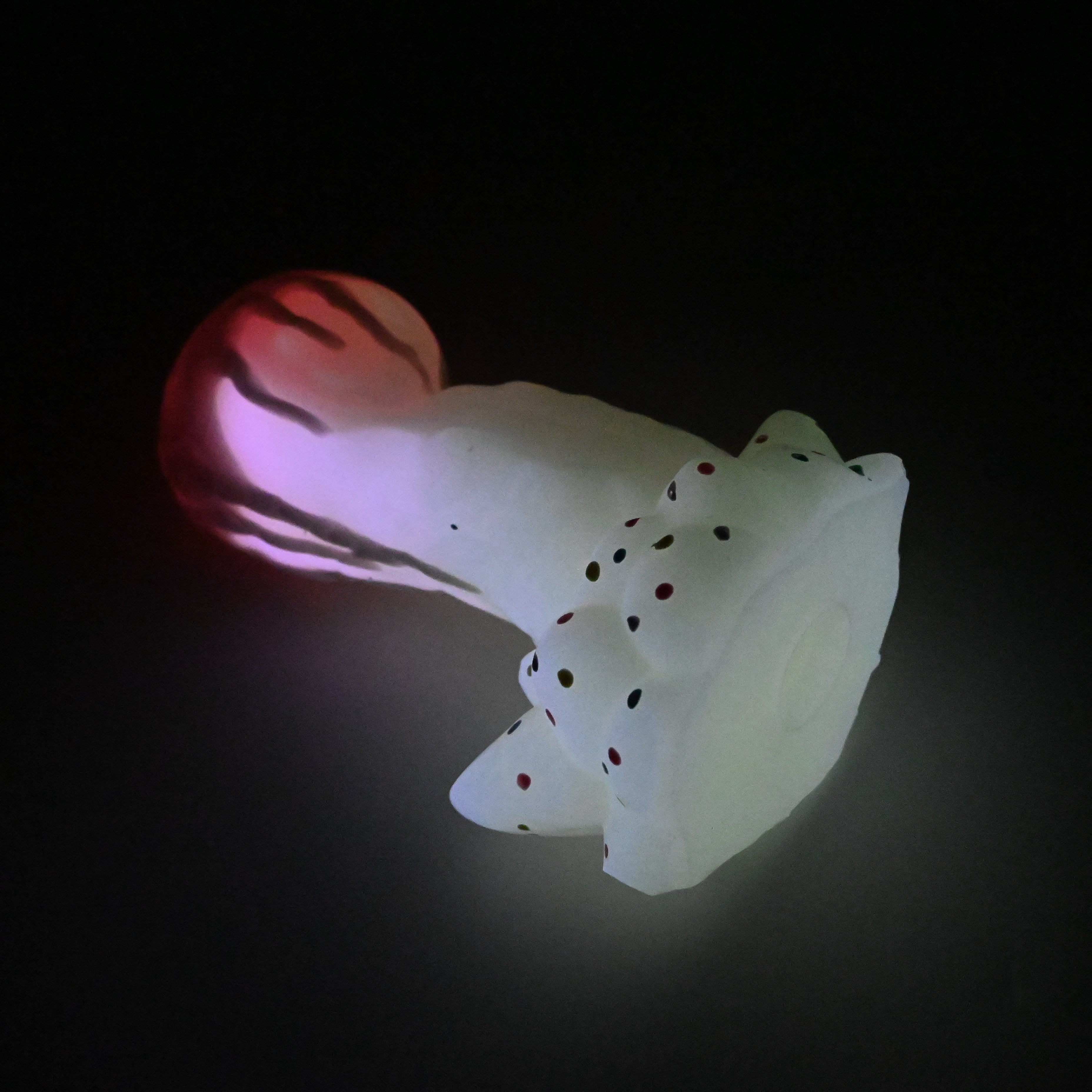 74SKA91 Terra Large 0030 UV GITD GOBLIN HOLE