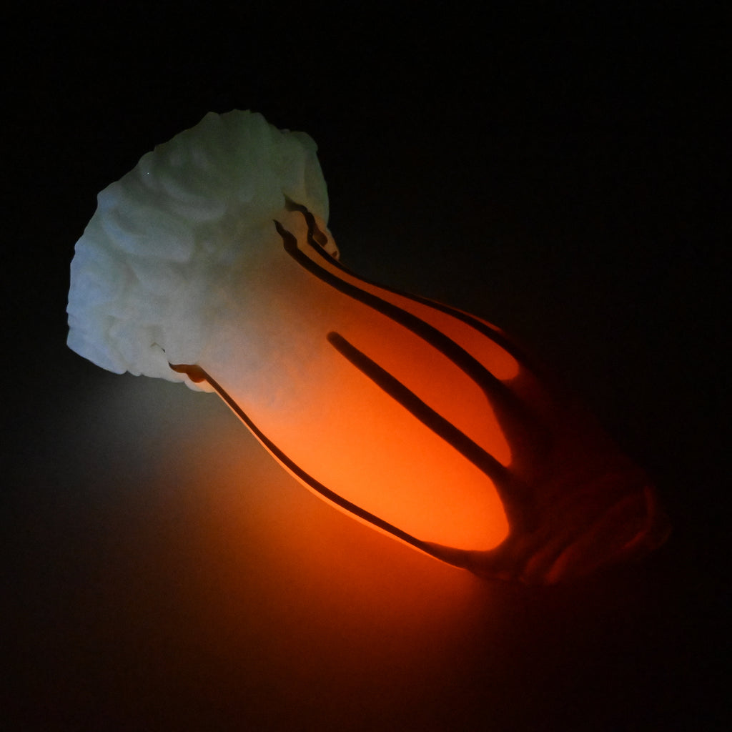 85XKA98 Hue XL 0020 UV GITD