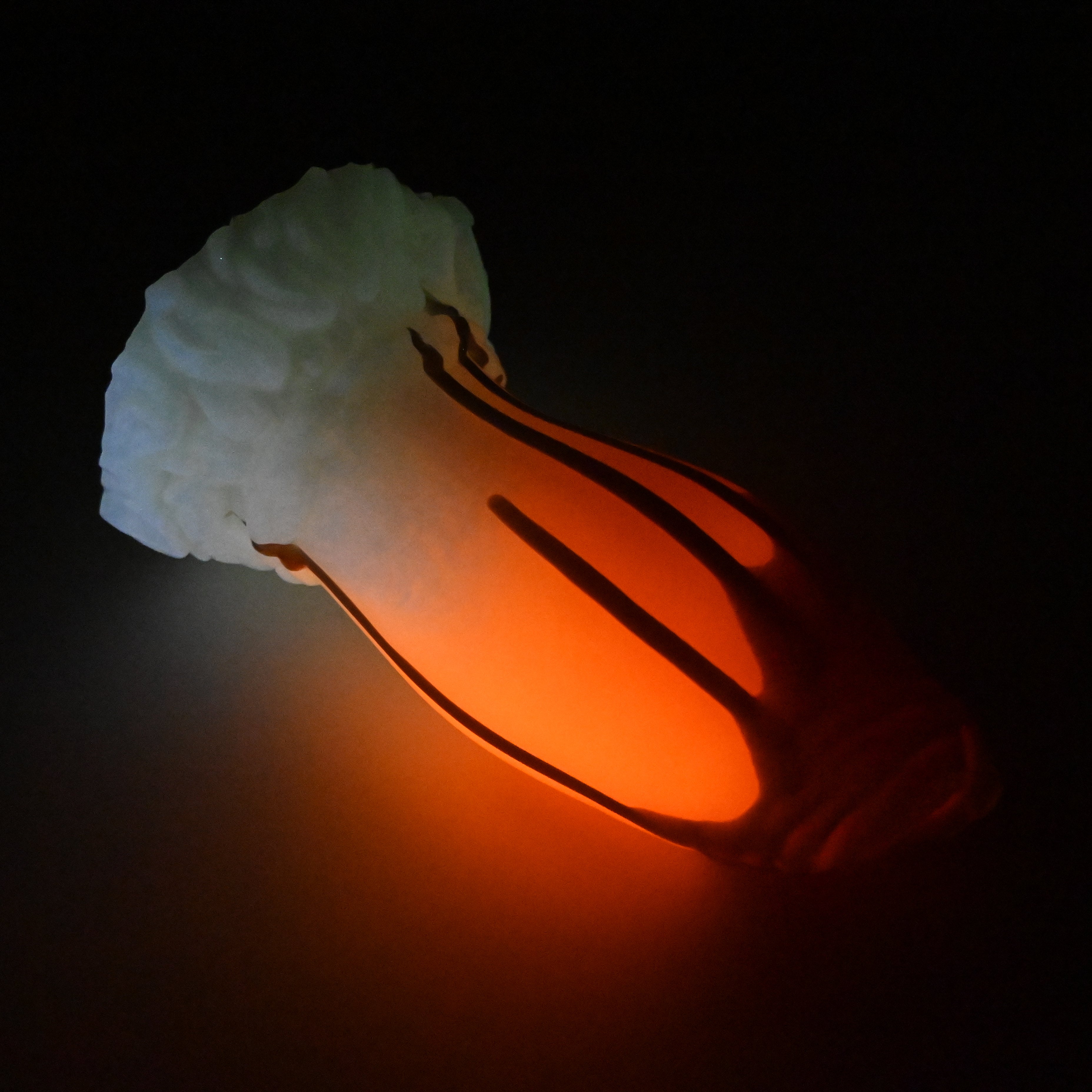 85XKA98 Hue XL 0020 UV GITD