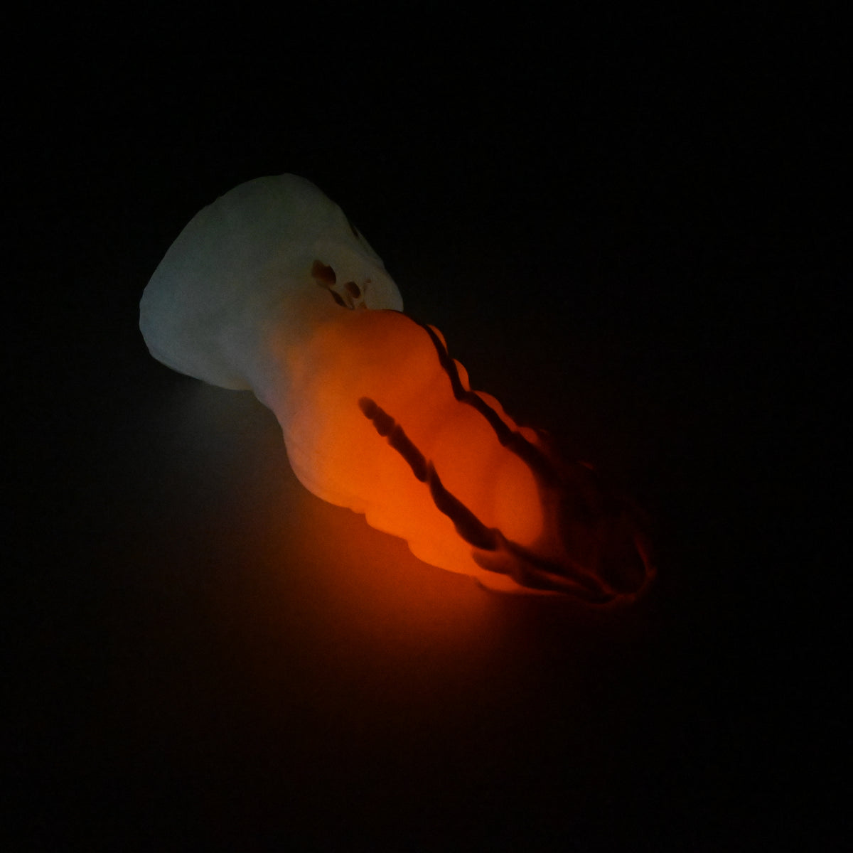 P3XKB82 Pluto Medium 0020 UV GITD