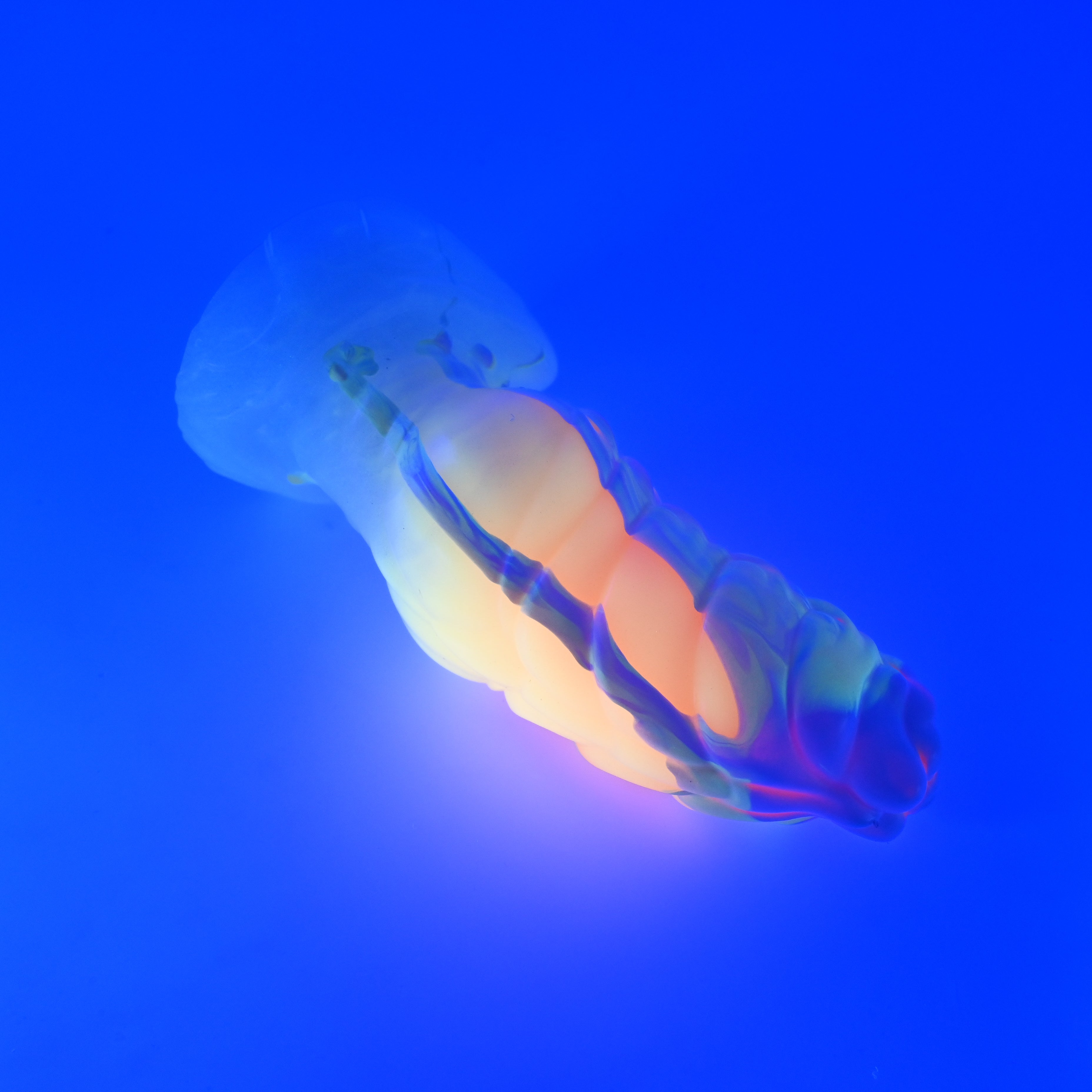 P4XKB84 Pluto Large 0020 UV GITD