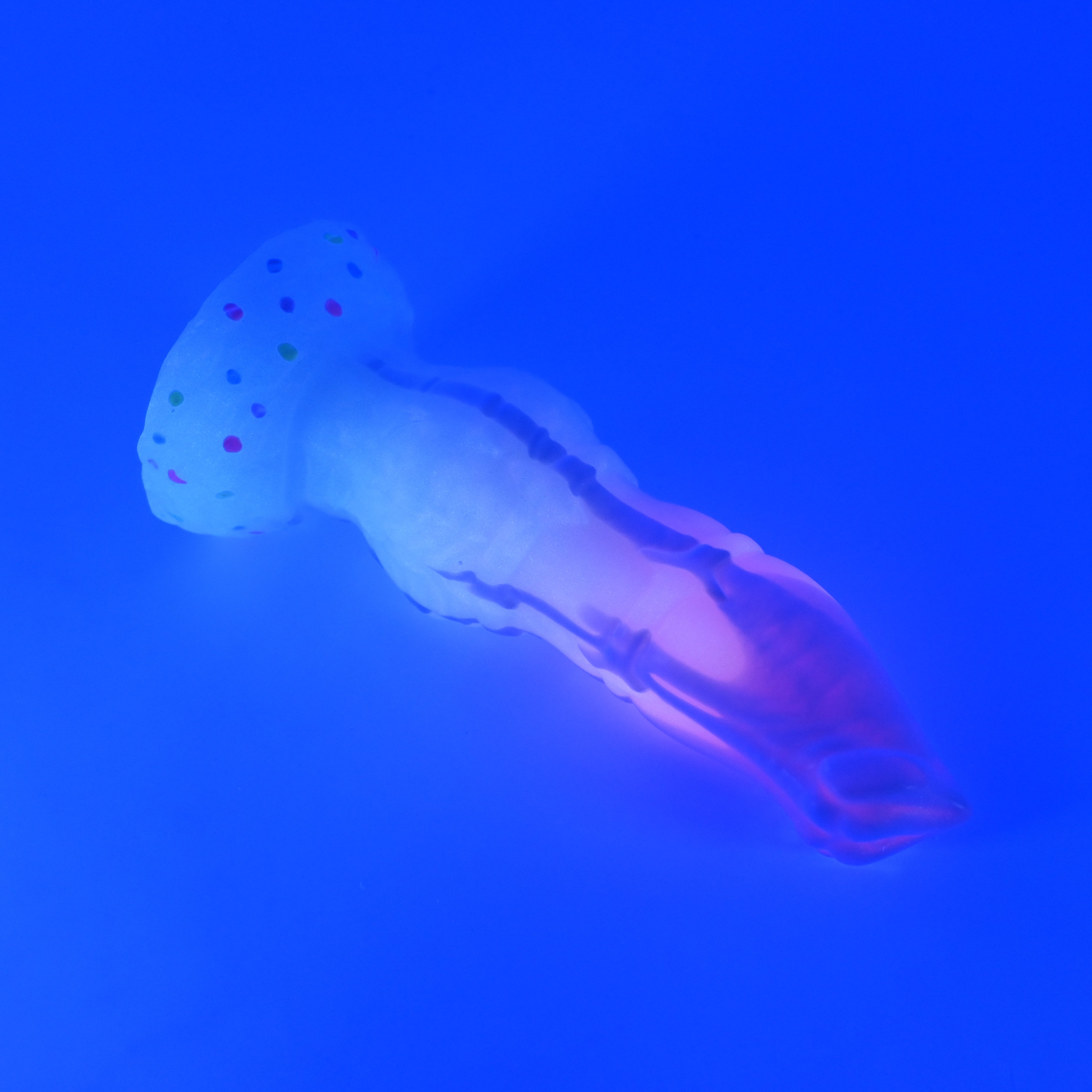 H2SKB54 Hellion Small 0030 UV GITD