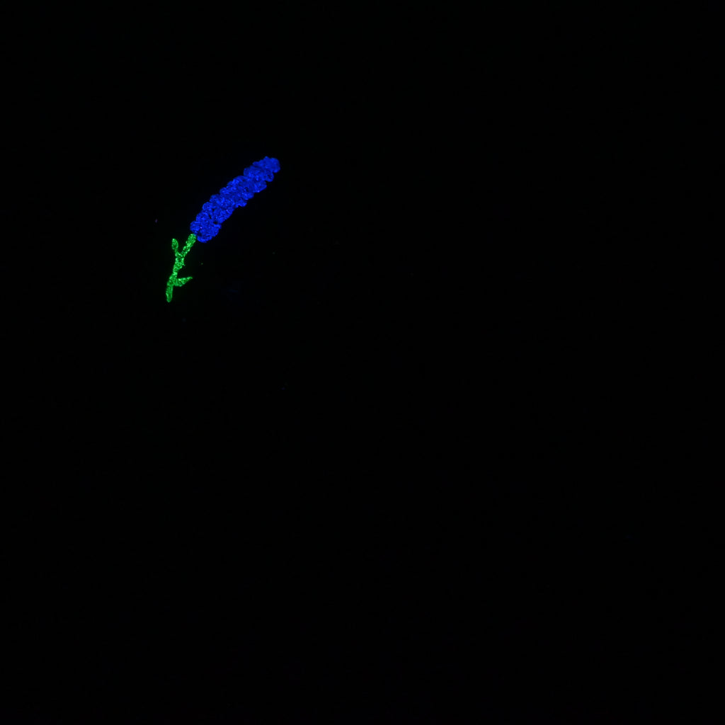 H2MKB59 Hellion Small 0050 UV GITD