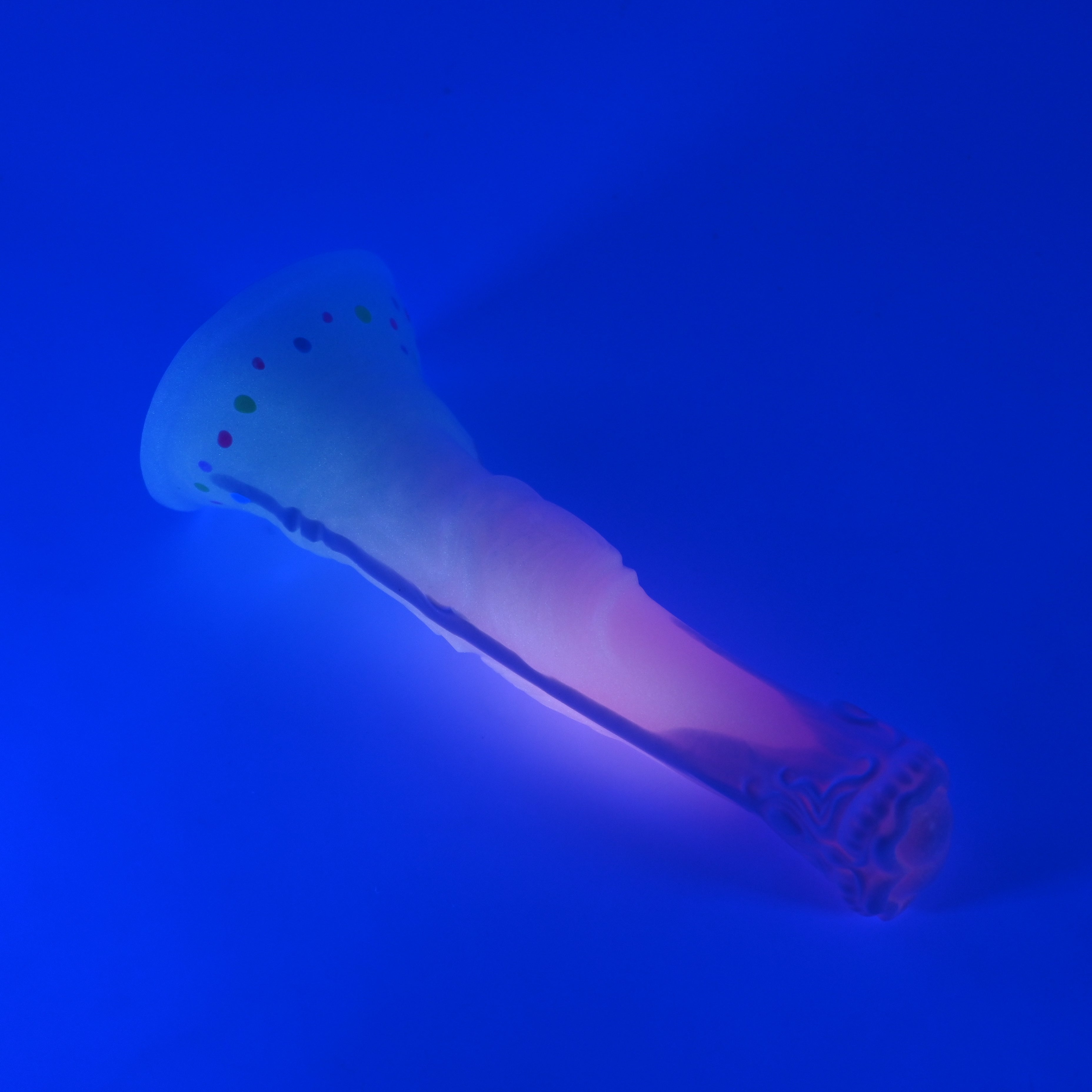 U2SKC14 Cirrus Small 0030 UV GITD