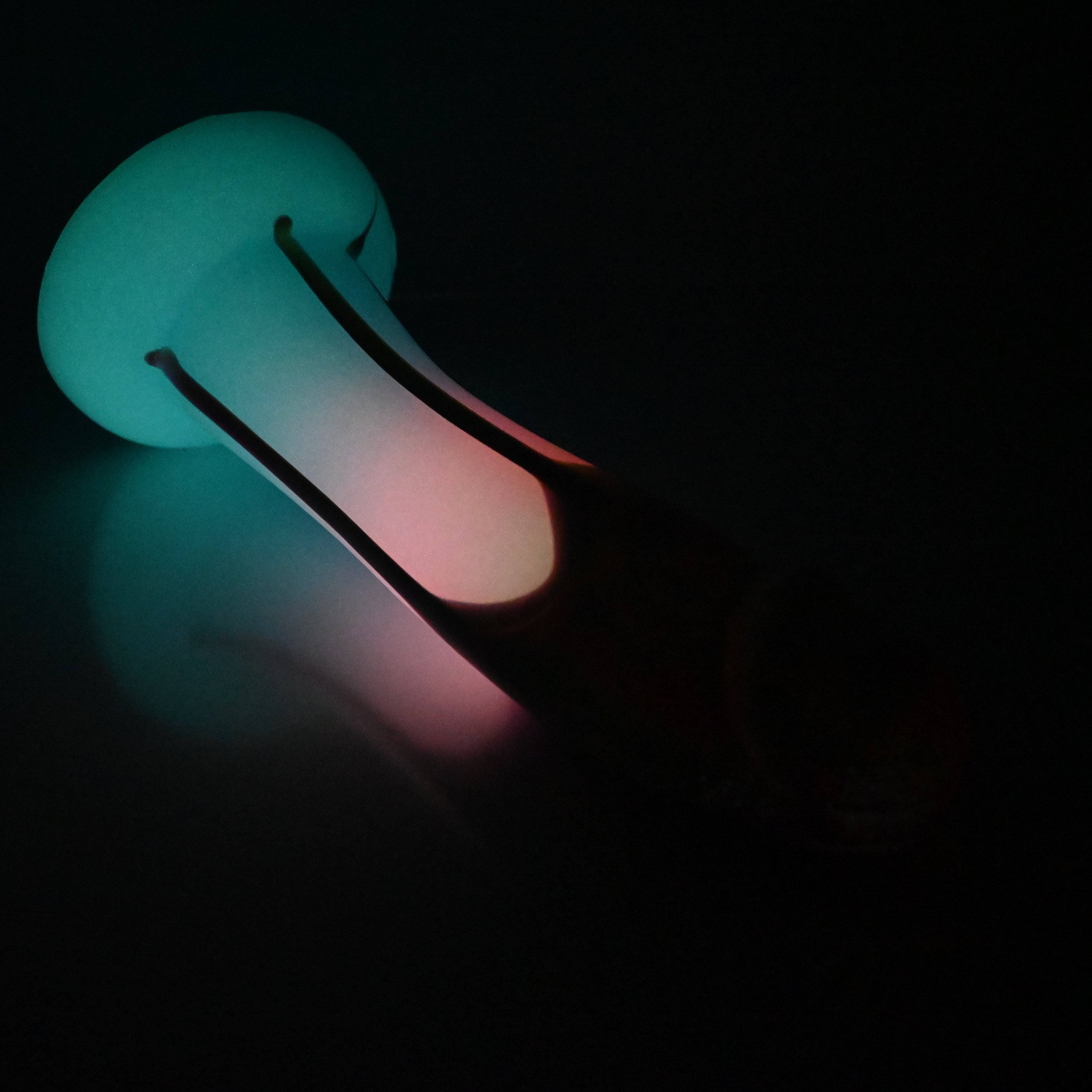Z4SEY24 Caelus Large 0030 UV GITD