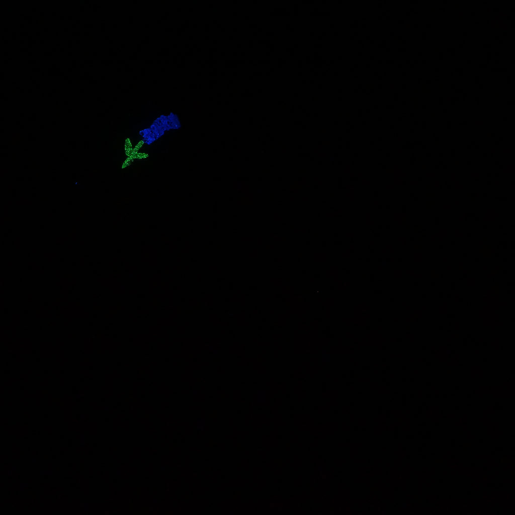 U2MKC19 Cirrus Small 0050 UV GITD