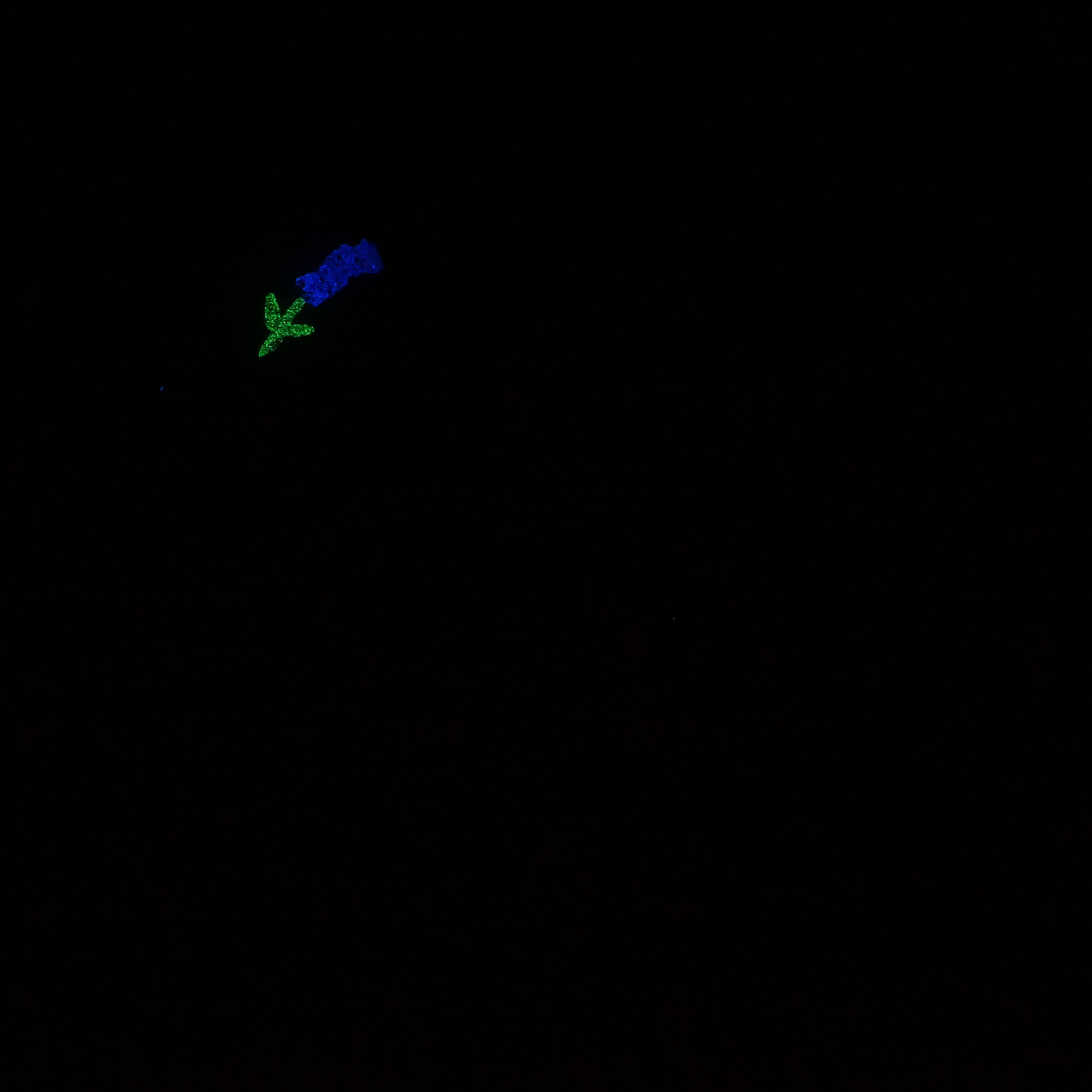 U2MKC19 Cirrus Small 0050 UV GITD