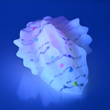 Load image into Gallery viewer, C2SDW31 Calypso Small 0030 UV GITD
