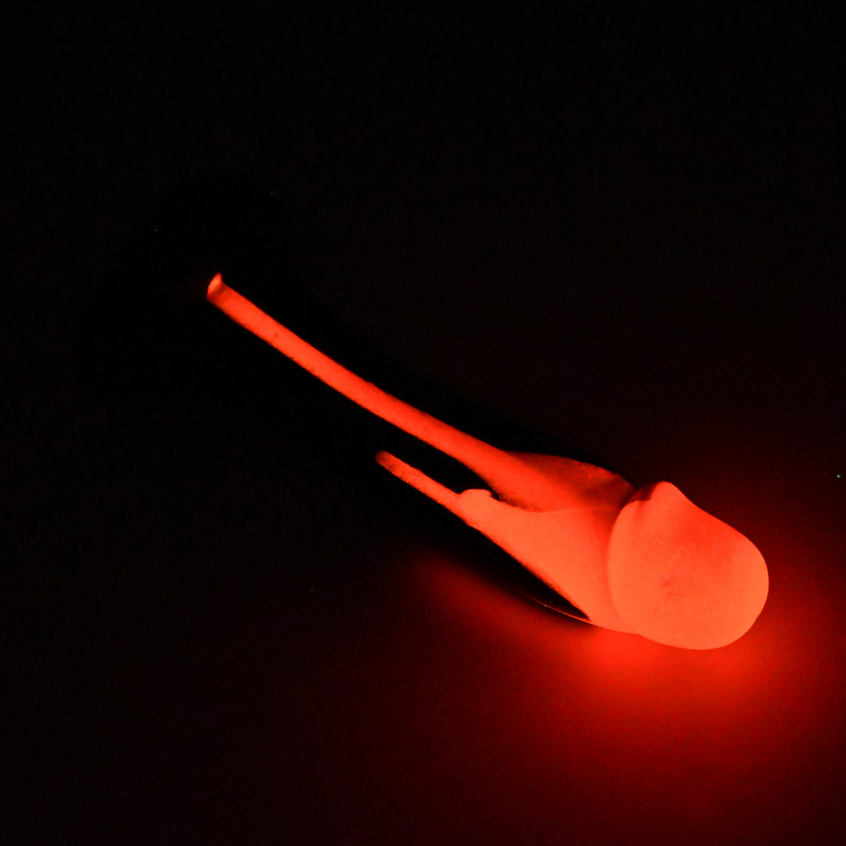 Z3XJB38 Caelus Medium 0020 UV GITD