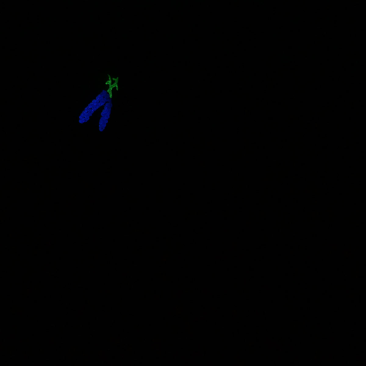 U3MKC27 Cirrus Medium 0050 UV GITD GOBLIN HOLE