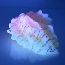 Load image into Gallery viewer, C4SDW39 Calypso Large 0030 UV GITD
