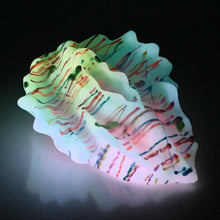 Load image into Gallery viewer, C4MDW43 Calypso Large 0050 UV GITD
