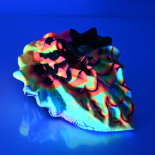 Load image into Gallery viewer, C4SDX60 Calypso Large 0030 UV GITD
