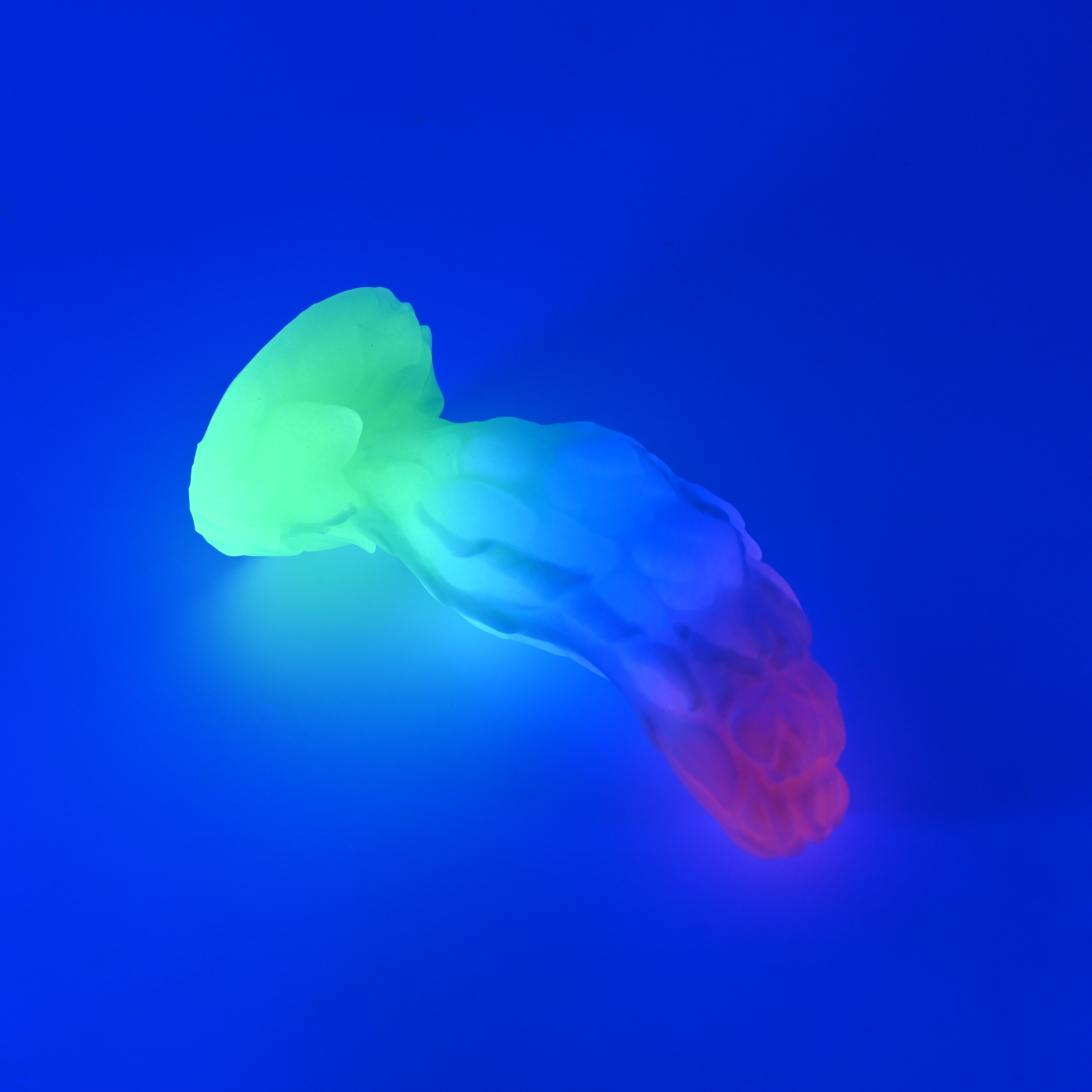 B2MKB16 Flora Small 0050 UV GITD CS