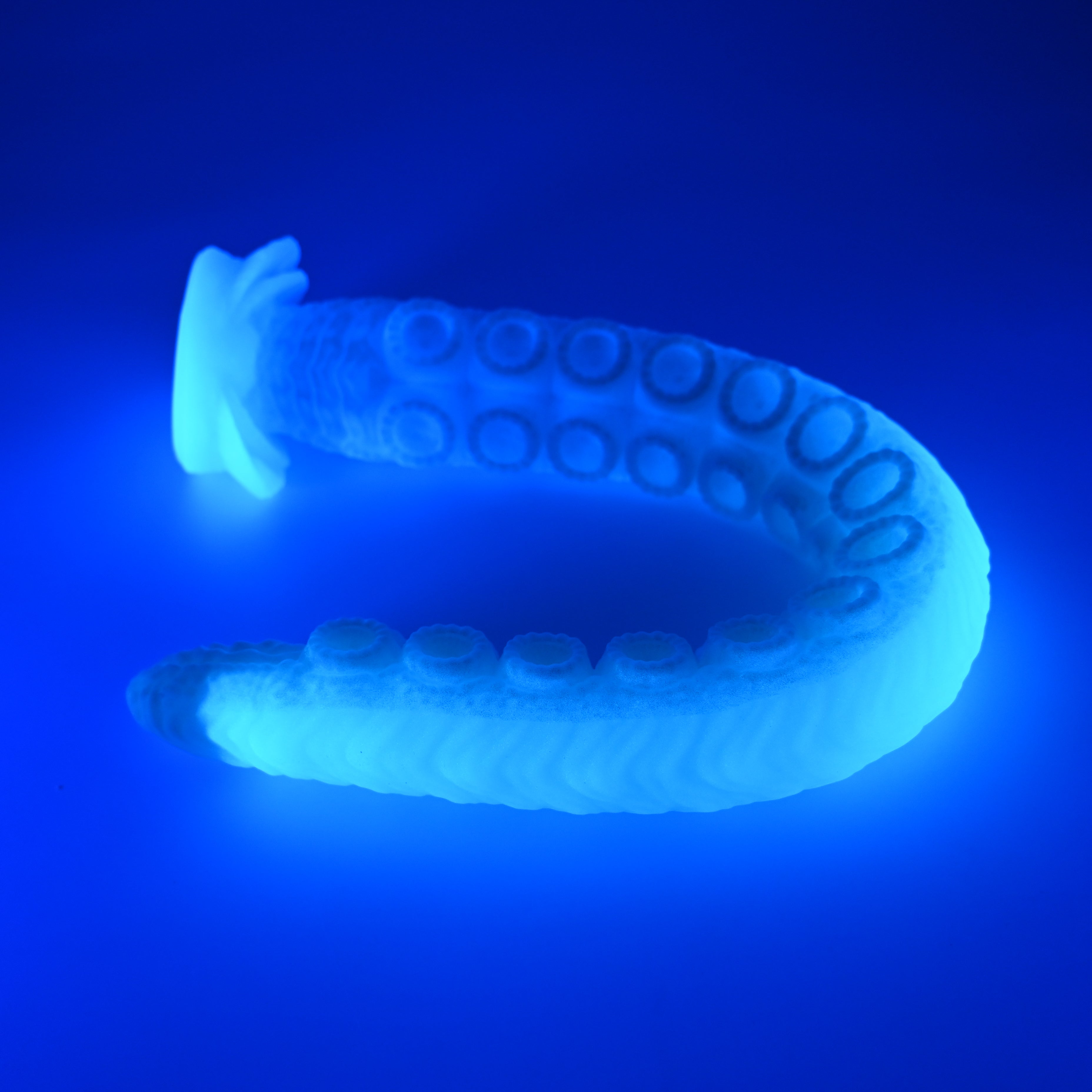 E4XGY11 Illex Large 0020 UV GITD