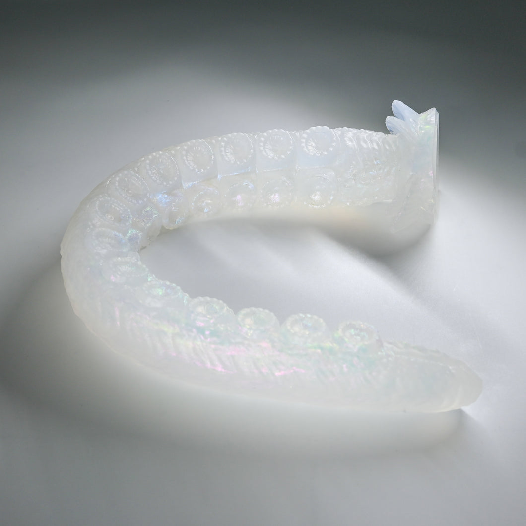 E4TGY13 Illex Large NC 0031 CS