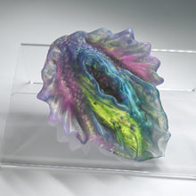 Load image into Gallery viewer, C2TGZ51 Calypso Small NC 0031 CS
