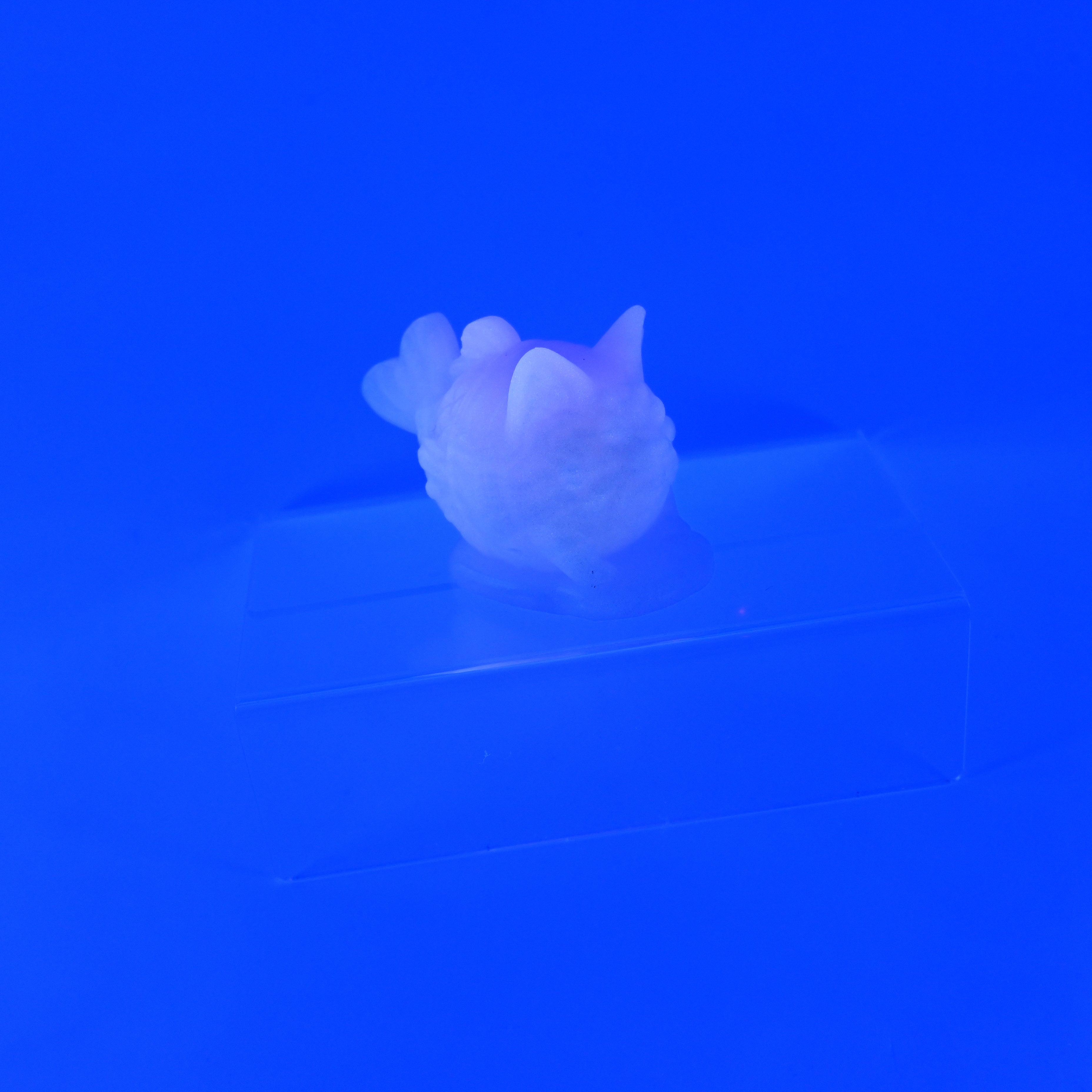 1TSKA70 Tai-nya-ki 0030 UV GITD