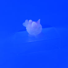 Load image into Gallery viewer, 1TSKA70 Tai-nya-ki 0030 UV GITD
