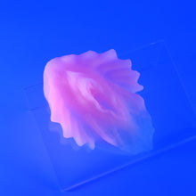 Load image into Gallery viewer, C2MKD20 Calypso Small 0050 UV GITD
