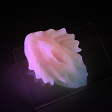 Load image into Gallery viewer, C2MKD20 Calypso Small 0050 UV GITD
