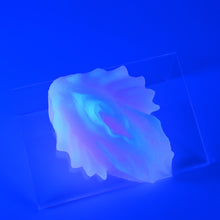 Load image into Gallery viewer, C2MKD21 Calypso Small 0050 UV GITD
