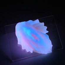 Load image into Gallery viewer, C2MKD21 Calypso Small 0050 UV GITD
