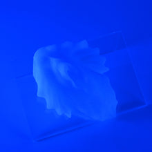 Load image into Gallery viewer, C2SKD22 Calypso Small 0030 UV GITD
