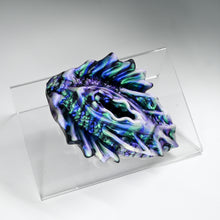 Load image into Gallery viewer, C2XKD24 Calypso Small 0020 CS

