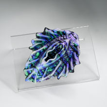 Load image into Gallery viewer, C2XKD24 Calypso Small 0020 CS
