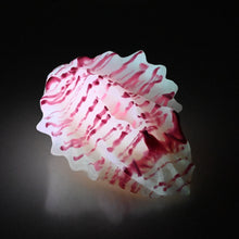 Load image into Gallery viewer, C2XEY32 Calypso Small 0020 UV GITD
