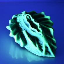 Load image into Gallery viewer, C4SEY39 Calypso Large 0030 UV GITD
