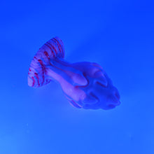 Load image into Gallery viewer, F4MJA52 Dragonfruit Plug Large 0050 UV GITD
