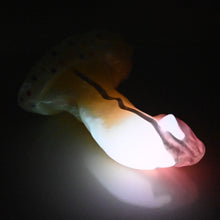Load image into Gallery viewer, R3SDX19 Oberon Medium 0030 UV GITD
