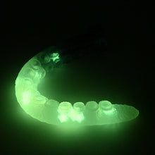 Load image into Gallery viewer, E4TJA48 Illex Large NC 0031 UV GITD CS
