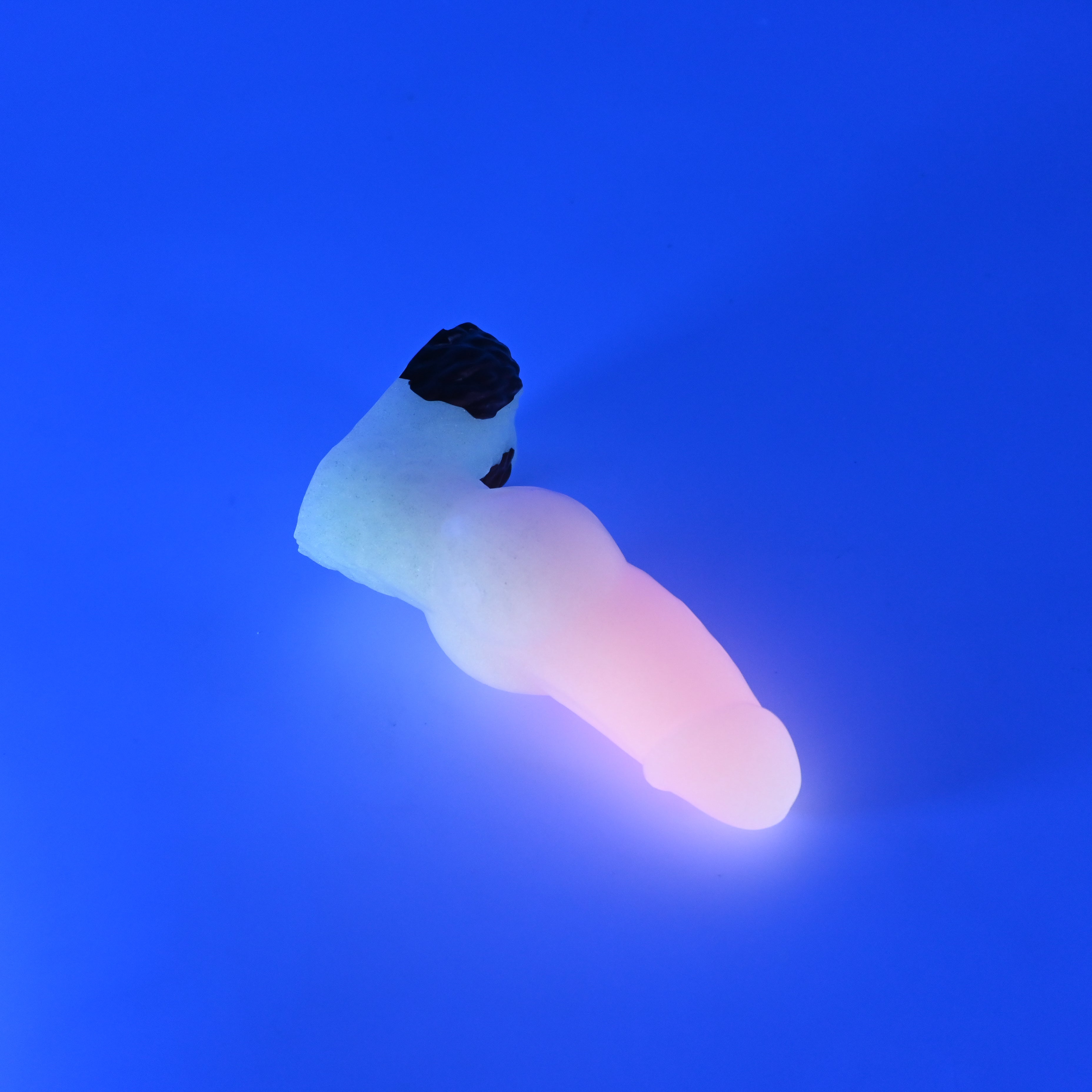 51SKC76 Jacob Mini 0030 UV GITD