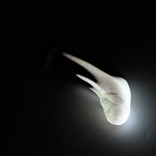 Load image into Gallery viewer, G2MJC05 Ignis Small 0050 UV GITD
