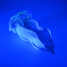 Load image into Gallery viewer, A4SGZ37 Alara Large 0030 UV GITD *FLOP*
